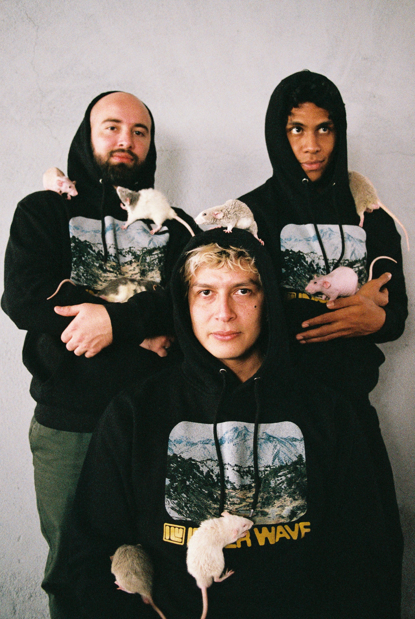 Inner Wave | Official Store – INNER WAVE