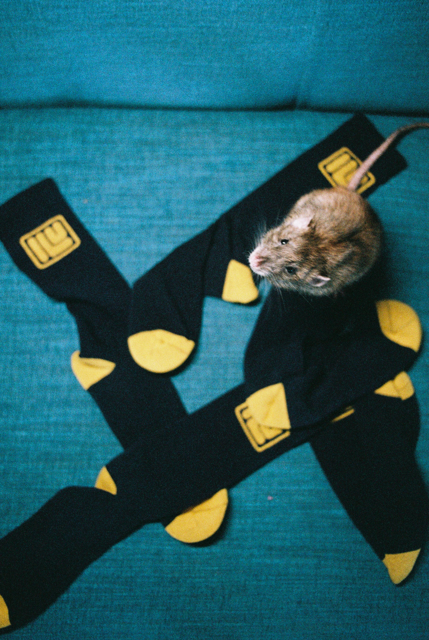 Inner Wave | Official Store – INNER WAVE