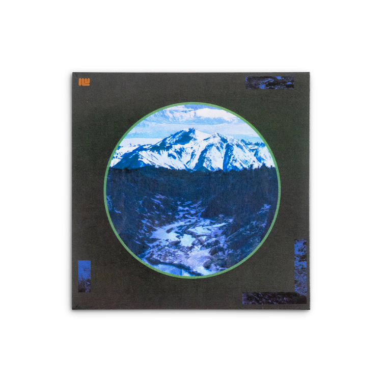 IW-ApoptosisRemixCD-Back_750x.