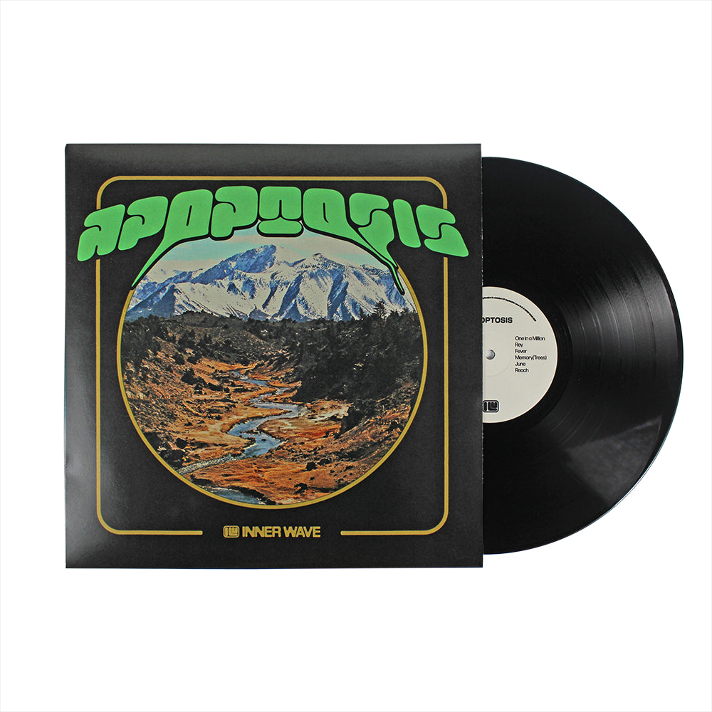 innerwavevinyl_1080x.png.jpg?v