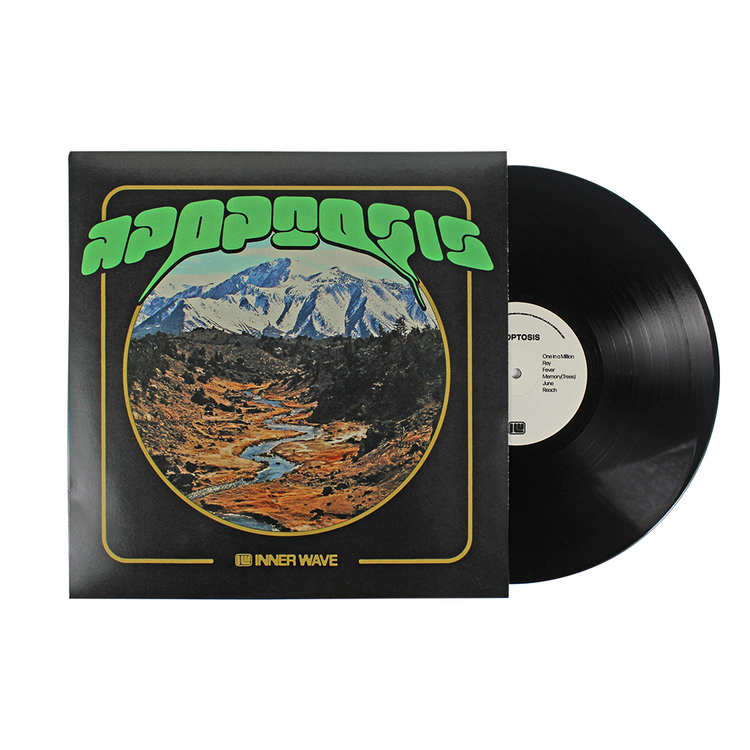 innerwavevinyl_750x.png.jpg?v=